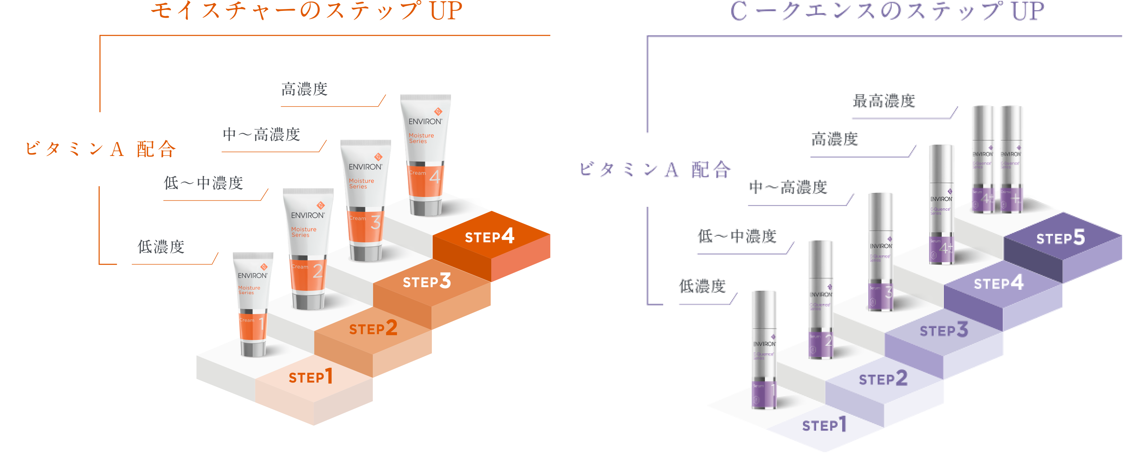 ステップアップシステム エンビロンについて Environ エンビロン